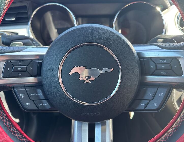 Ford Mustang 10