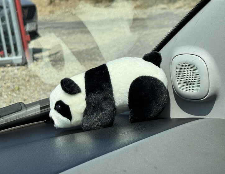 Fiat Panda 14