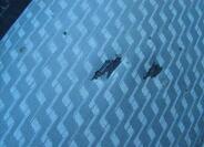 Volkswagen Transporter 16