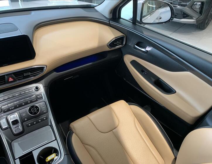 Hyundai Santa Fe 24