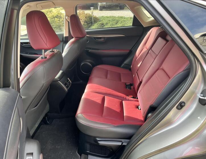 Lexus NX 300h 10