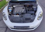 Volkswagen Beetle 23