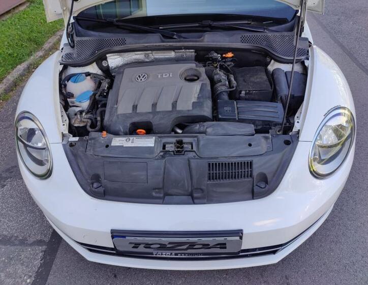 Volkswagen Beetle 23