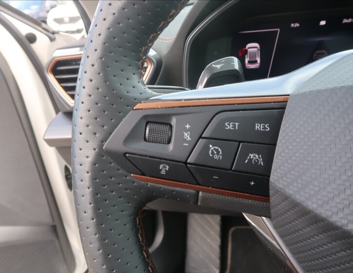 Cupra Formentor 53