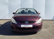Peugeot 307 19
