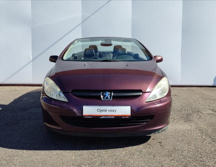 Peugeot 307 19