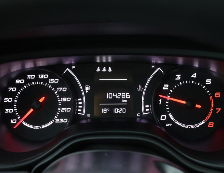 Fiat Tipo 15
