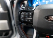Ford F-150 19
