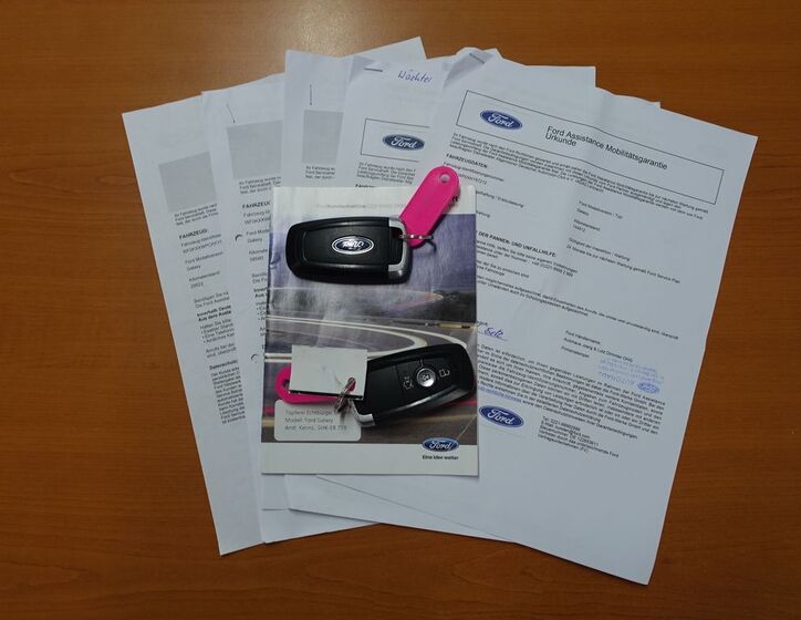 Ford Galaxy 33