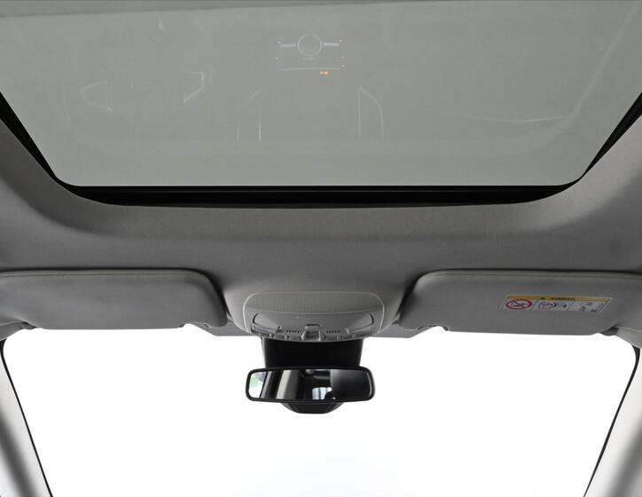 Ford Galaxy 31