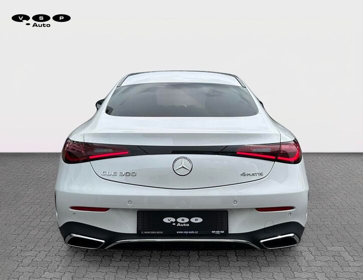 Mercedes-Benz Ostatní 7
