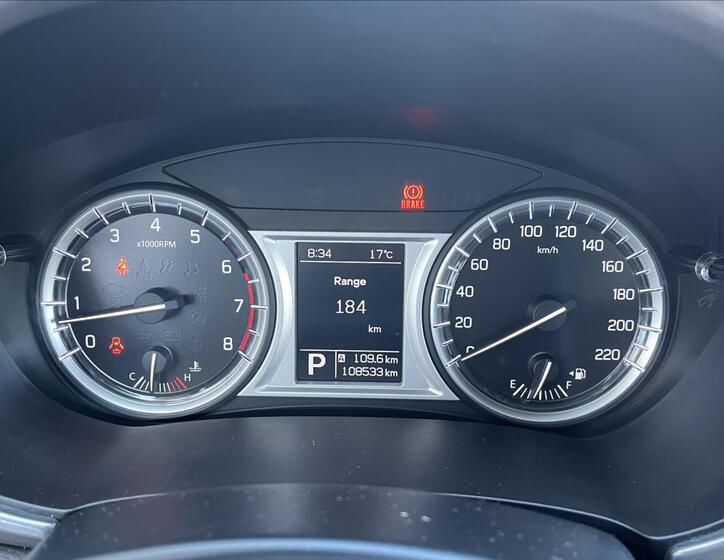 Suzuki Vitara 13