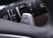 Hyundai Santa Fe 28