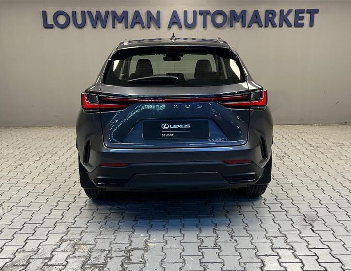 Lexus NX 350h 12