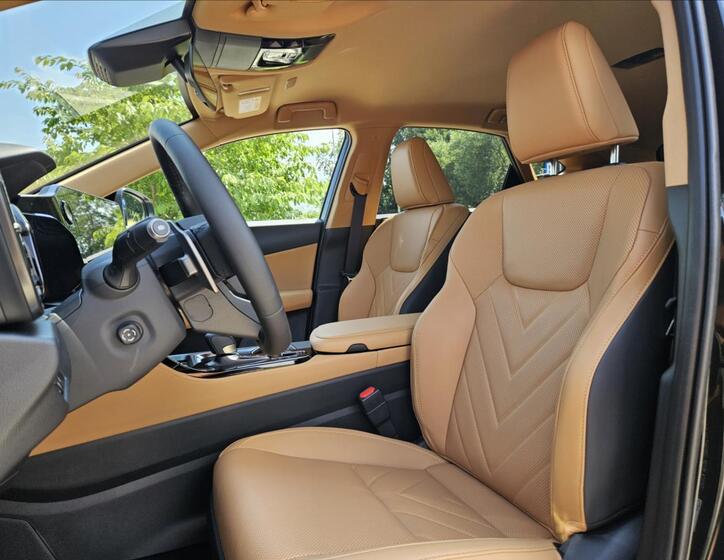 Lexus NX 450h plus 22