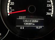 Volkswagen Beetle 13