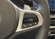 BMW X5 19