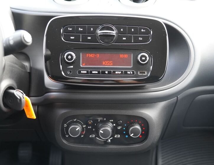 Smart Forfour 33