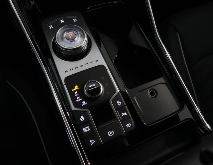 KIA Sorento 30