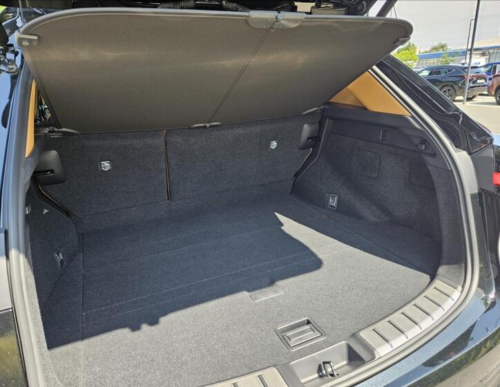 Lexus NX 450h plus 13