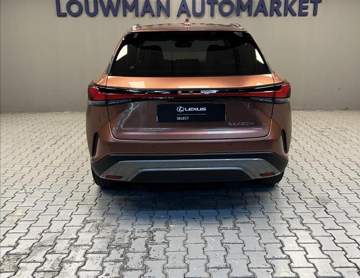 Lexus RX 450h plus 12