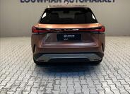 Lexus RX 450h plus 12