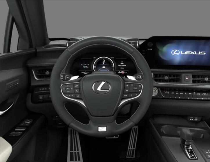 Lexus UX 300h 6