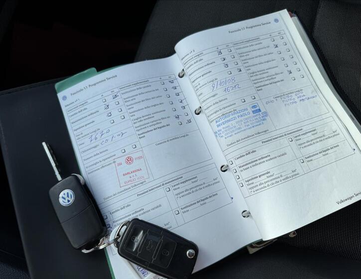 Volkswagen Golf 21