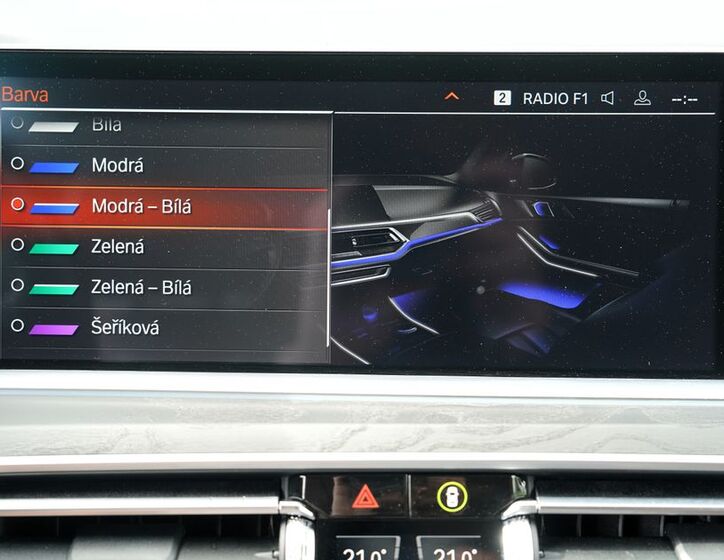 BMW X7 43