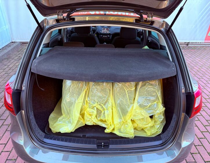 Seat Ibiza 10