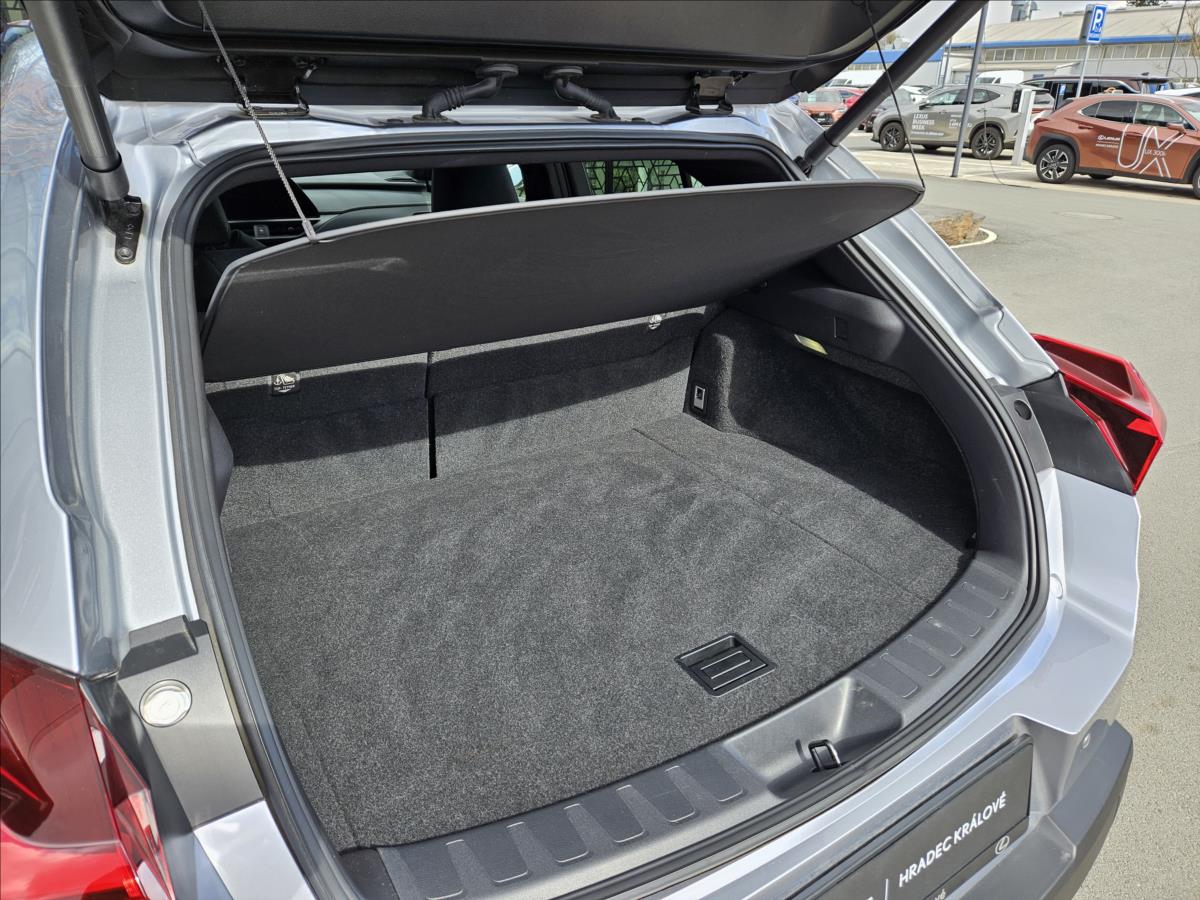 Lexus UX 250h
