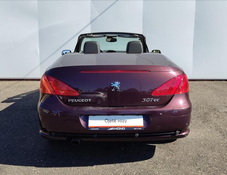 Peugeot 307 22