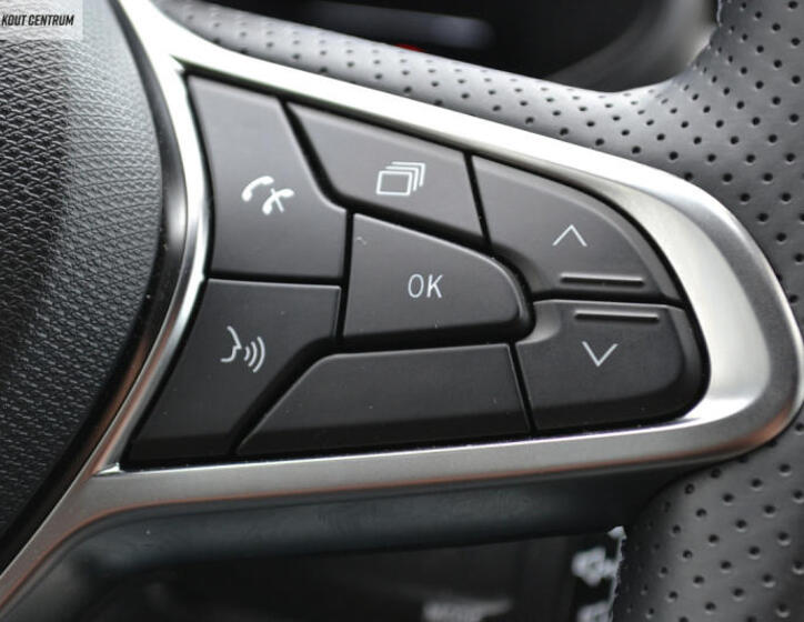 Renault Clio 39