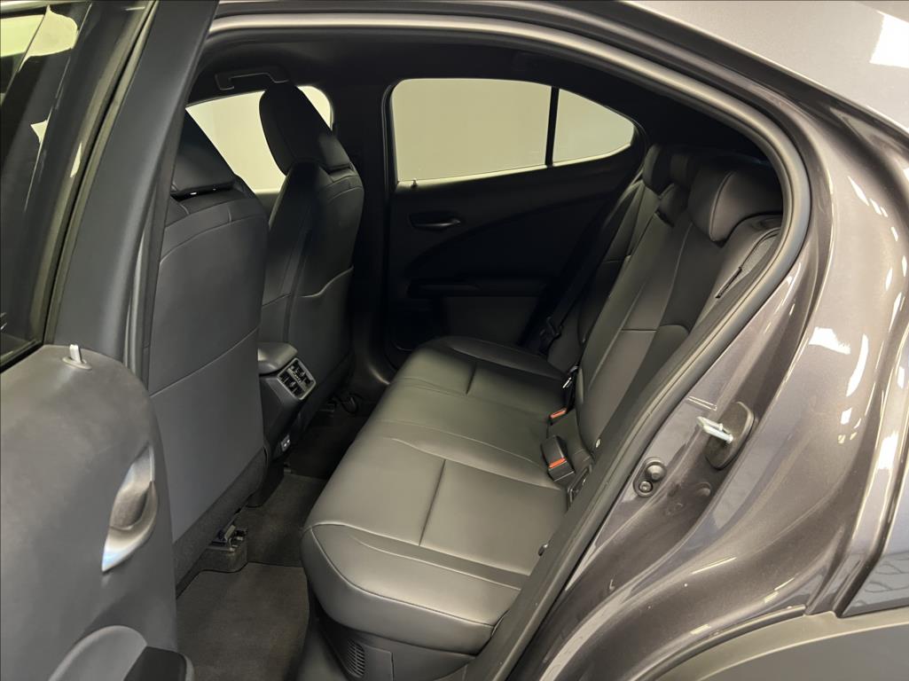 Lexus UX 300h