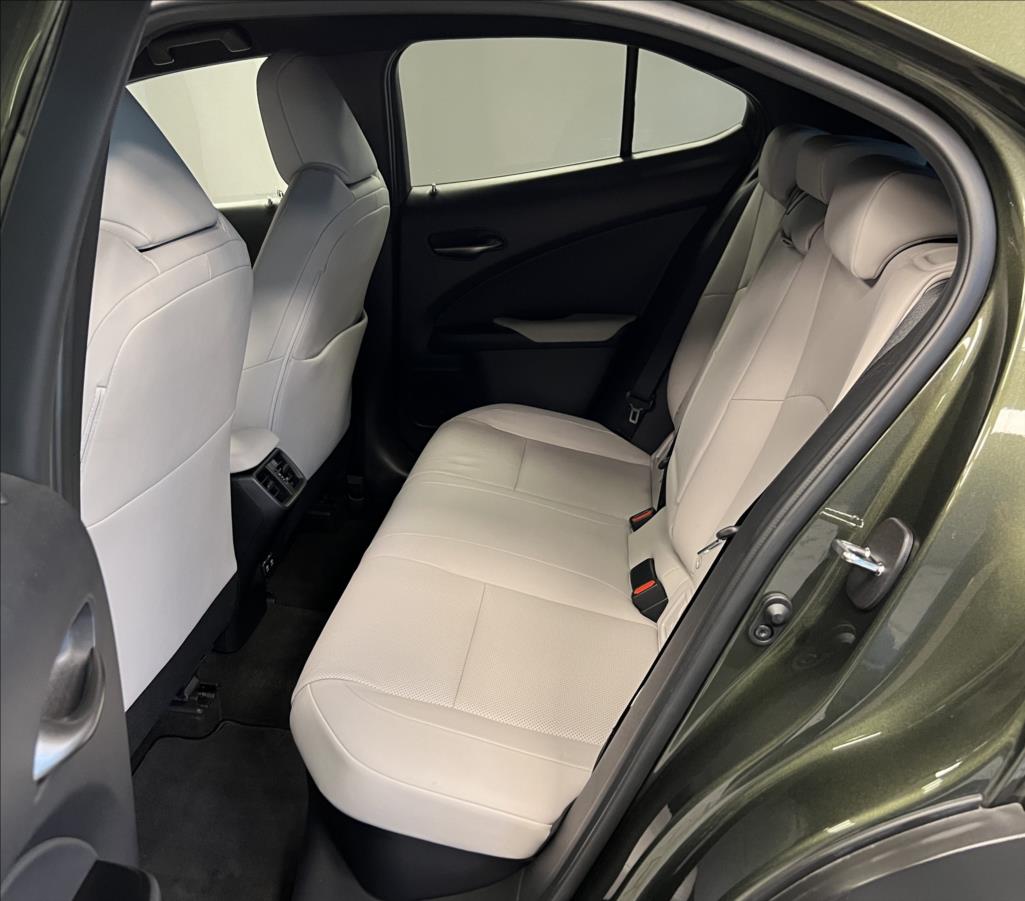 Lexus UX 250h