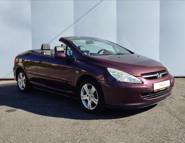 Peugeot 307 18