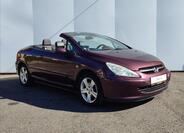 Peugeot 307 18