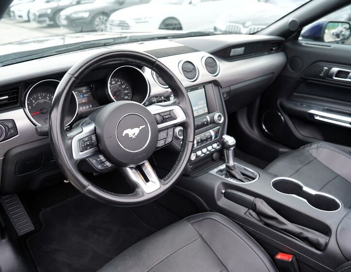 Ford Mustang 29