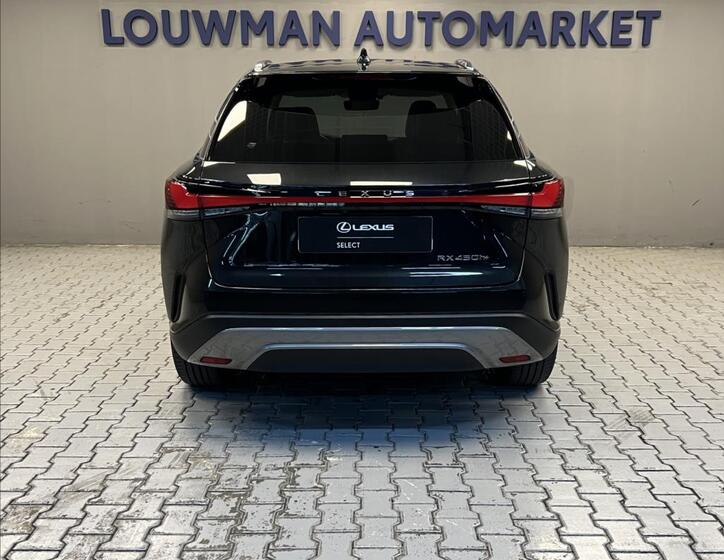 Lexus RX 450h plus 12