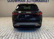Lexus RX 450h plus 12