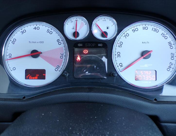 Peugeot 307 10