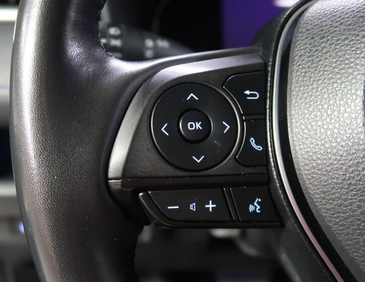 Toyota RAV4 22