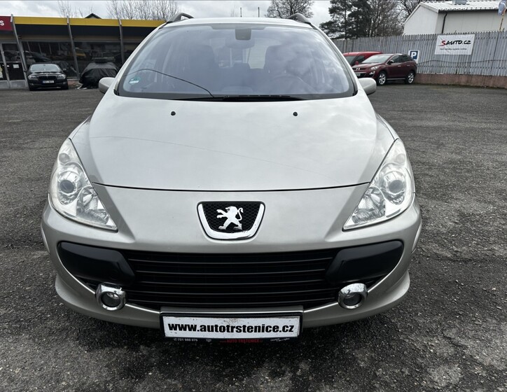 Peugeot 307 10