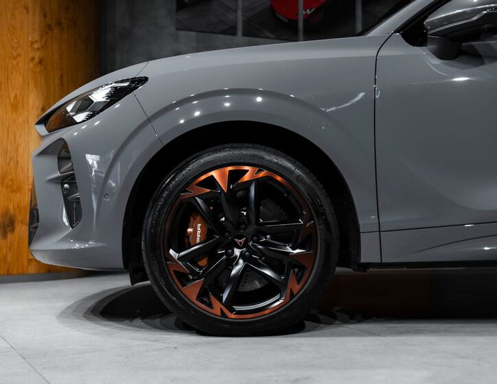 Cupra Ostatní 5