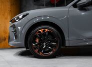 Cupra Ostatní 5