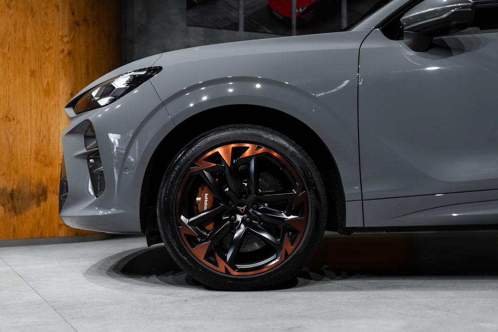 Cupra Ostatní