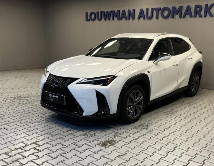 Lexus UX 300h 1