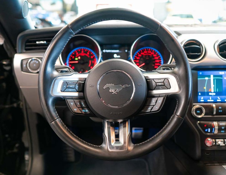 Ford Mustang 15