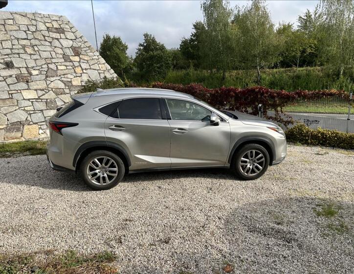 Lexus NX 300h 8
