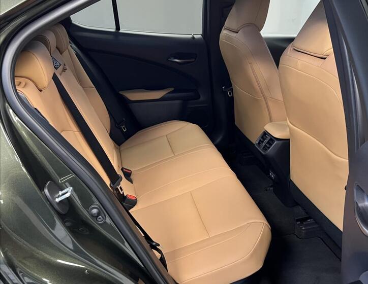 Lexus UX 300h 10